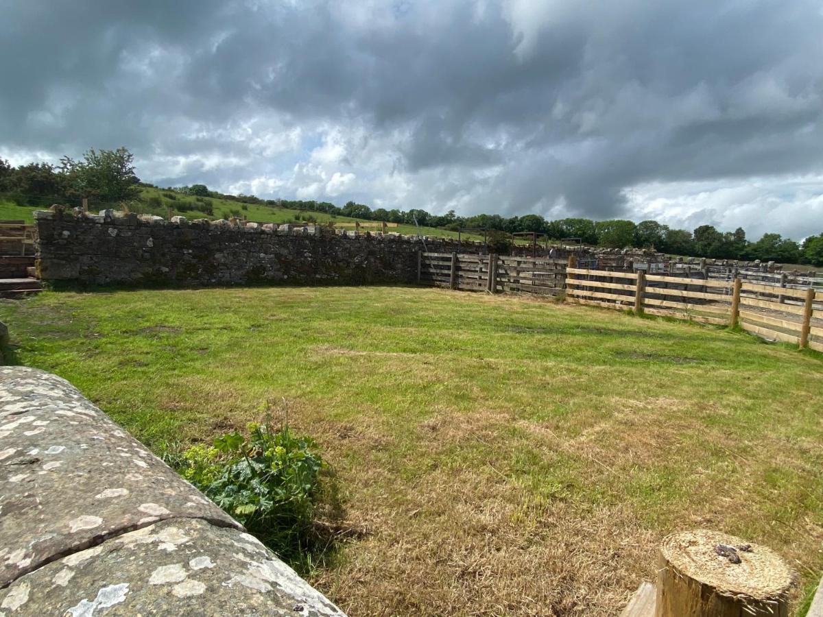Welton  Rattlebeck Farm Cottage And Hot Tub Pet Friendly מראה חיצוני תמונה